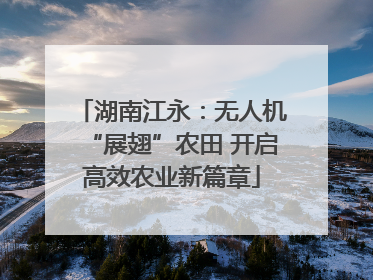 湖南江永：无人机“展翅”农田 开启高效农业新篇章