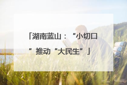 湖南蓝山：“小切口”推动“大民生”
