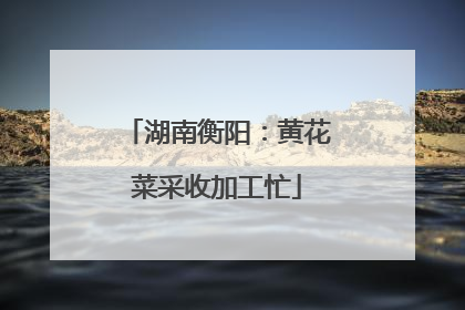 湖南衡阳：黄花菜采收加工忙