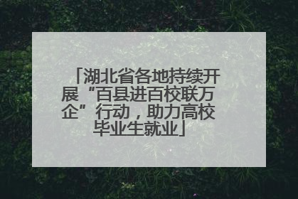 湖北省各地持续开展“百县进百校联万企”行动，助力高校毕业生就业