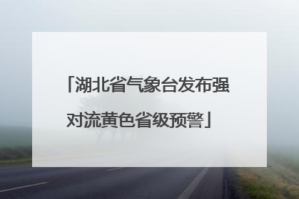 湖北省气象台发布强对流黄色省级预警