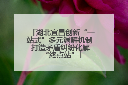 湖北宜昌创新“一站式”多元调解机制 打造矛盾纠纷化解“终点站”