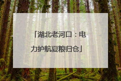 湖北老河口：电力护航夏粮归仓