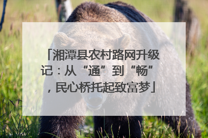湘潭县农村路网升级记：从“通”到“畅”，民心桥托起致富梦
