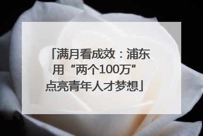 满月看成效：浦东用“两个100万”点亮青年人才梦想