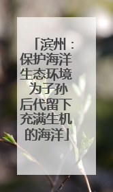 滨州：保护海洋生态环境 为子孙后代留下充满生机的海洋