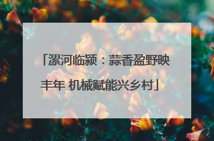 漯河临颍：蒜香盈野映丰年 机械赋能兴乡村