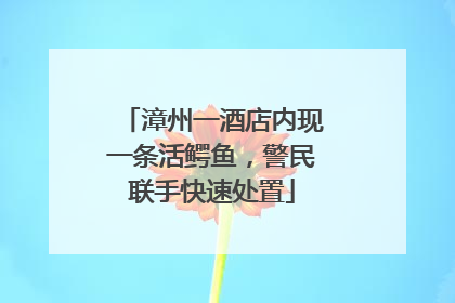漳州一酒店内现一条活鳄鱼，警民联手快速处置