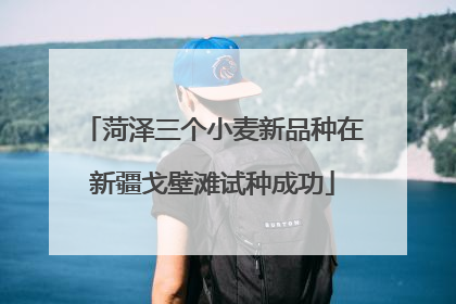 菏泽三个小麦新品种在新疆戈壁滩试种成功