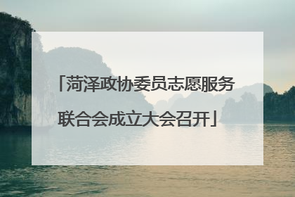 菏泽政协委员志愿服务联合会成立大会召开