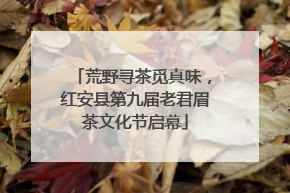 荒野寻茶觅真味，红安县第九届老君眉茶文化节启幕