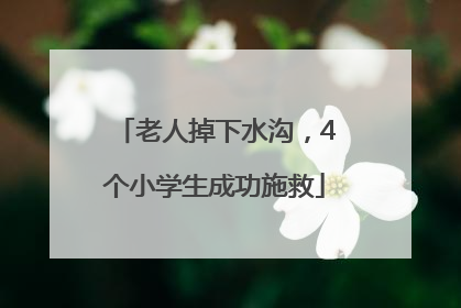 老人掉下水沟，4个小学生成功施救