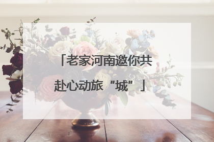 老家河南邀你共赴心动旅“城”