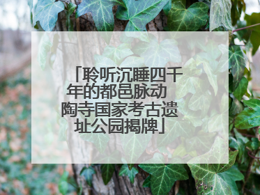 聆听沉睡四千年的都邑脉动 陶寺国家考古遗址公园揭牌