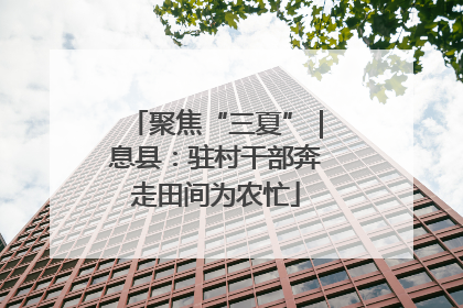 聚焦“三夏”｜息县：驻村干部奔走田间为农忙