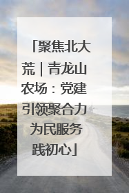 聚焦北大荒｜青龙山农场：党建引领聚合力 为民服务践初心