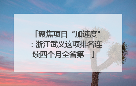 聚焦项目“加速度”：浙江武义这项排名连续四个月全省第一