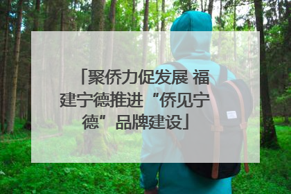 聚侨力促发展 福建宁德推进“侨见宁德”品牌建设