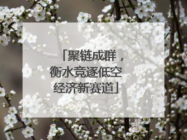 聚链成群，衡水竞逐低空经济新赛道
