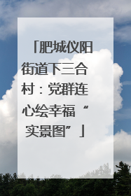肥城仪阳街道下三合村：党群连心绘幸福“实景图”