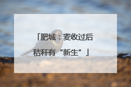 肥城：麦收过后秸秆有“新生”