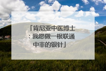 肯尼亚中医博士：我愿做一根联通中非的银针