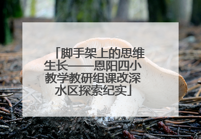 脚手架上的思维生长——恩阳四小教学教研组课改深水区探索纪实