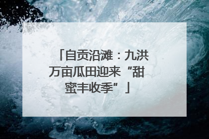 自贡沿滩：九洪万亩瓜田迎来“甜蜜丰收季”