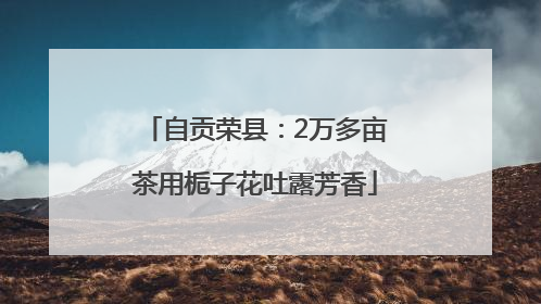 自贡荣县:2万多亩茶用栀子花吐露芳香