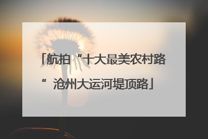 航拍“十大最美农村路”沧州大运河堤顶路