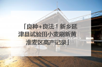 良种+良法！新乡延津县试验田小麦刷新黄淮麦区高产记录