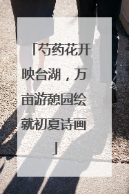 芍药花开映台湖，万亩游憩园绘就初夏诗画
