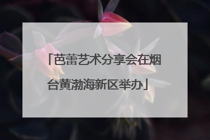 芭蕾艺术分享会在烟台黄渤海新区举办
