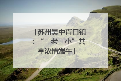 苏州吴中胥口镇：“一老一小”共享浓情端午