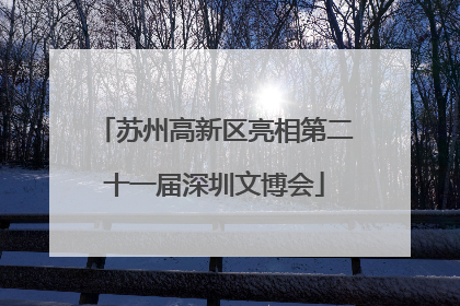苏州高新区亮相第二十一届深圳文博会