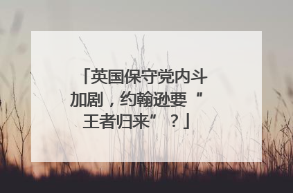 英国保守党内斗加剧，约翰逊要“王者归来”？