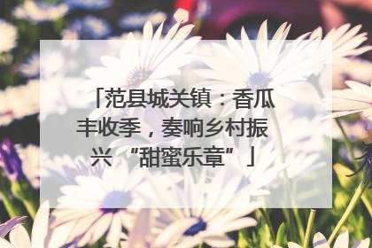 范县城关镇：香瓜丰收季，奏响乡村振兴 “甜蜜乐章”