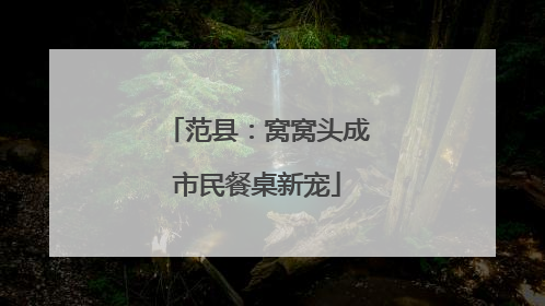 范县：窝窝头成市民餐桌新宠