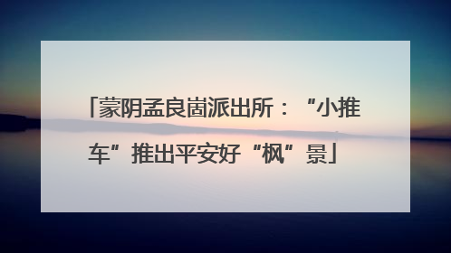 蒙阴孟良崮派出所：“小推车”推出平安好“枫”景