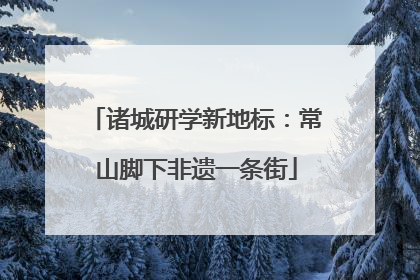 诸城研学新地标：常山脚下非遗一条街