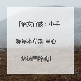 诏安官陂：小手称量本草韵 童心熔铸国粹魂