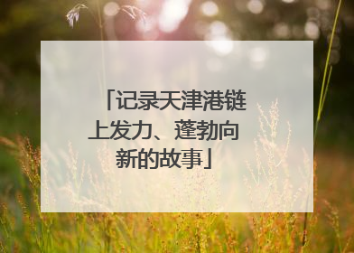 记录天津港链上发力、蓬勃向新的故事