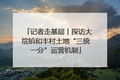 记者走基层丨探访大垸镇和丰村土地“三统一分”运营机制