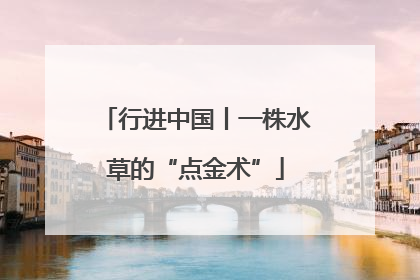 行进中国丨一株水草的“点金术”