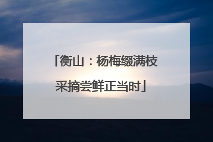 衡山：杨梅缀满枝 采摘尝鲜正当时