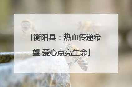 衡阳县：热血传递希望 爱心点亮生命