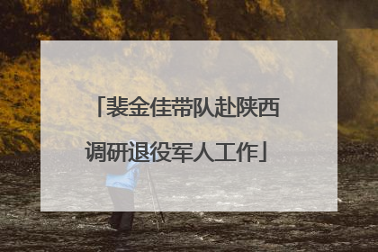 裴金佳带队赴陕西调研退役军人工作