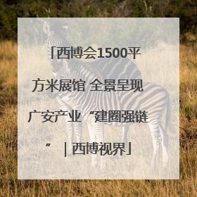 西博会1500平方米展馆 全景呈现广安产业“建圈强链”｜西博视界