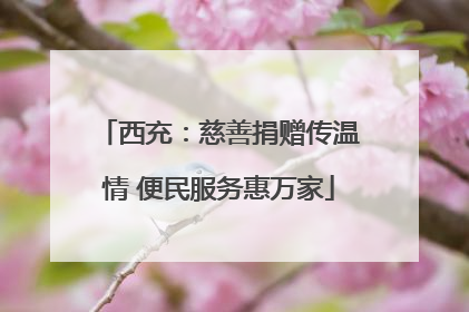 西充：慈善捐赠传温情 便民服务惠万家