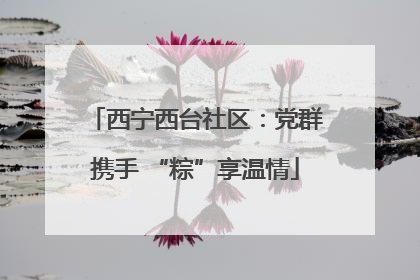 西宁西台社区：党群携手 “粽”享温情